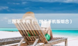 三国杀 手机（三国杀手机版组合）