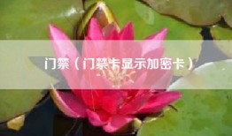 门禁（门禁卡显示加密卡）