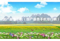 国产最贵手机（国产最贵手机排行榜）