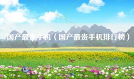 国产最贵手机（国产最贵手机排行榜）