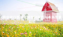 商业银行数字化转型的实践与未来发展趋势