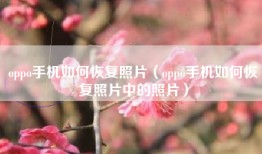 oppo手机如何恢复照片（oppo手机如何恢复照片中的照片）