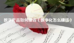 数字产品如何赚钱（数字化怎么赚钱）