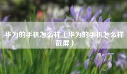 华为的手机怎么样（华为的手机怎么样截屏）