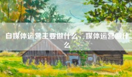 自媒体运营主要做什么，媒体运营做什么
