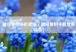 超可爱的手机壁纸（超可爱的手机壁纸动态）