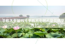 手机大全图片（手机大全图片及价格华为）
