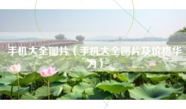 手机大全图片（手机大全图片及价格华为）