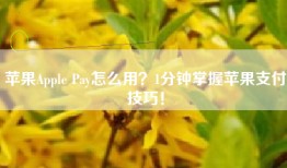 苹果Apple Pay怎么用？1分钟掌握苹果支付技巧！
