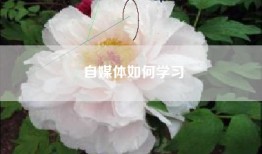 自媒体如何学习