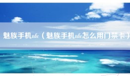 魅族手机nfc（魅族手机nfc怎么用门禁卡）