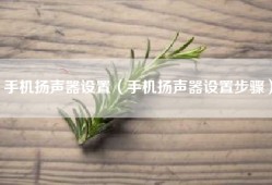 手机扬声器设置（手机扬声器设置步骤）