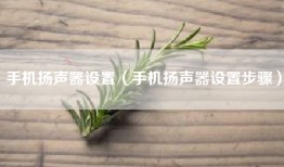 手机扬声器设置（手机扬声器设置步骤）