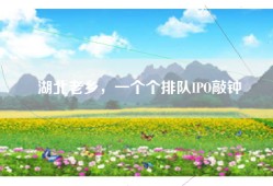 湖北老乡，一个个排队IPO敲钟
