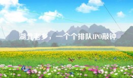 湖北老乡，一个个排队IPO敲钟