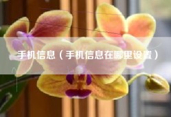 手机信息（手机信息在哪里设置）