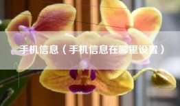 手机信息（手机信息在哪里设置）