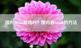 国内tiktok能用吗？国内看tiktok的方法