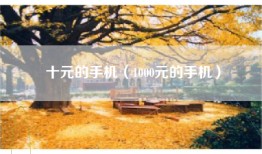 十元的手机（1000元的手机）