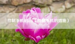 控制手机的app（控制手机的措施）