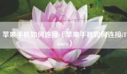 苹果手机如何连接（苹果手机如何连接iTunes）