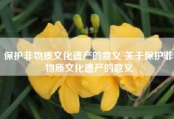 保护非物质文化遗产的意义 关于保护非物质文化遗产的意义
