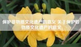 保护非物质文化遗产的意义 关于保护非物质文化遗产的意义
