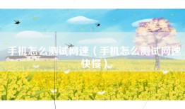 手机怎么测试网速(手机怎么测试网速快慢)