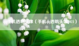qq手机透明头像（手机qq透明头像2021）