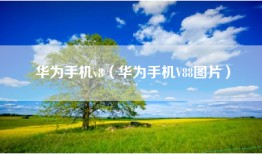 华为手机v8（华为手机V88图片）