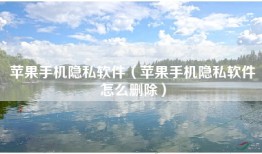 苹果手机隐私软件（苹果手机隐私软件怎么删除）
