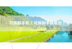 可拆卸手机（可拆卸手机电池）