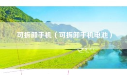 可拆卸手机（可拆卸手机电池）
