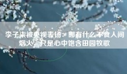 李子柒被央视表扬：哪有什么不食人间烟火，只是心中饱含田园牧歌