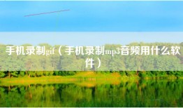 手机录制gif（手机录制mp3音频用什么软件）