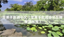 苹果手机调中文（苹果手机调中文在哪里调出来）