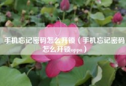 手机忘记密码怎么开锁（手机忘记密码怎么开锁oppo）