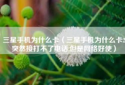 三星手机为什么卡（三星手机为什么卡2突然接打不了电话,但是网络好使）