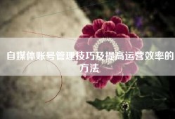 自媒体账号管理技巧及提高运营效率的方法