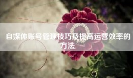 自媒体账号管理技巧及提高运营效率的方法