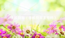 手机找车（手机找车主号码）