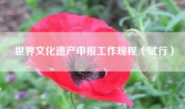 世界文化遗产申报工作规程（试行）