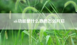 nfc功能是什么意思怎么开启