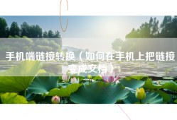 手机端链接转换（如何在手机上把链接变成文档）