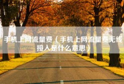 手机上网流量费（手机上网流量费无线接入是什么意思）