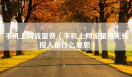 手机上网流量费(手机上网流量费无线接入是什么意思)