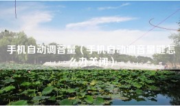 手机自动调音量（手机自动调音量键怎么办关闭）