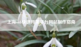 上海web快速开发平台网站制作指南