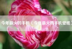 今年最火的手机（今年最火的手机壁纸）
