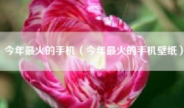 今年最火的手机（今年最火的手机壁纸）